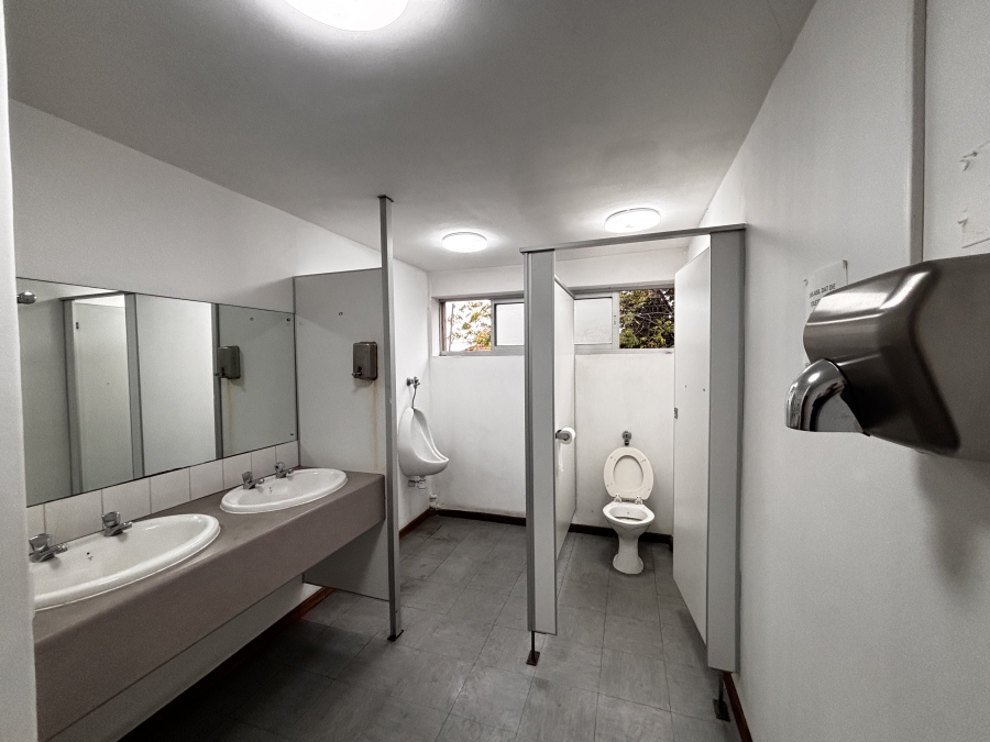 To Let commercial Property for Rent in Belgravia Western Cape